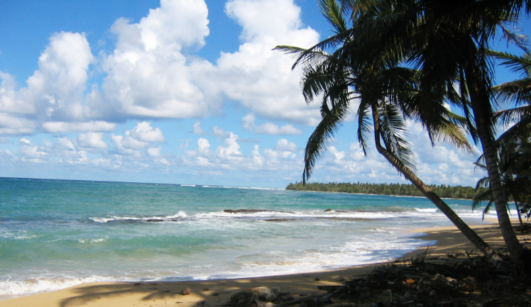 Strand Dominikanische Republik.